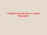 Oxidation and Reduction in Cellular Respiration