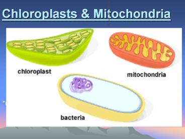 Chloroplasts