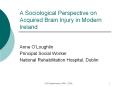 A Sociological Perspective on Acquired Brain Injury in Modern Ireland PowerPoint PPT Presentation