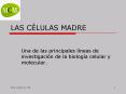 LAS C PowerPoint PPT Presentation