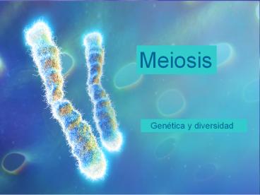 Meiosis