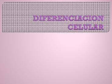 DIFERENCIACION CELULAR