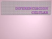 DIFERENCIACION CELULAR