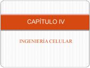 INGENIER