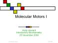 Molecular Motors I PowerPoint PPT Presentation