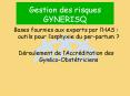 Gestion des risques GYNERISQ PowerPoint PPT Presentation