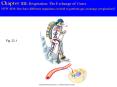 Chapter 22: Respiration: The Exchange of Gases PowerPoint PPT Presentation