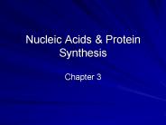 Nucleic Acids
