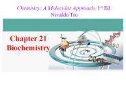 Chapter 21 Biochemistry