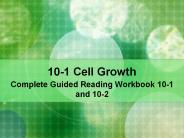 10-1 Cell Growth