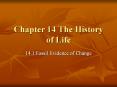Chapter 14 The History of Life PowerPoint PPT Presentation
