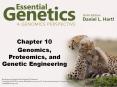 Genomics, Proteomics, and Genetic Engineering PowerPoint PPT Presentation