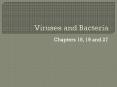 Viruses and Bacteria PowerPoint PPT Presentation