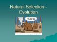 Natural Selection - Evolution PowerPoint PPT Presentation