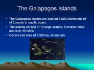 The Galapagos Islands