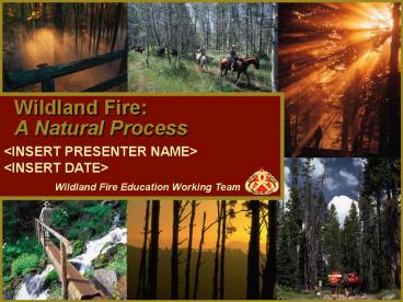 Wildland Fire: A Natural Process