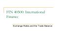 Exchange Rates and the Trade Balance PowerPoint PPT Presentation