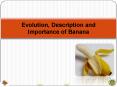 Evolution, Description and Importance of Banana PowerPoint PPT Presentation