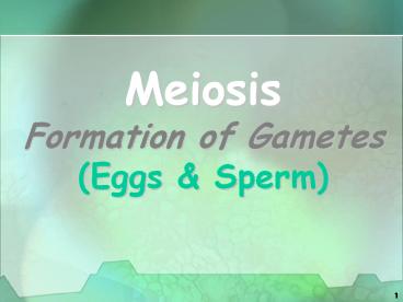 Meiosis Formation of Gametes (Eggs