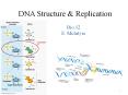 DNA Structure PowerPoint PPT Presentation