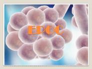 EPOC