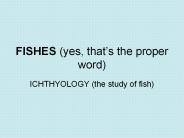 FISHES (yes, that