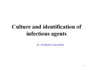 Culture and identification of infectious agents