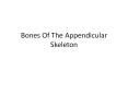 Bones Of The Appendicular Skeleton PowerPoint PPT Presentation