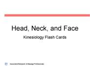 Head, Neck, and Face