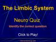 The Limbic System: Quiz Game PowerPoint PPT Presentation