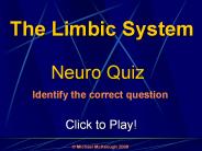 The Limbic System: Quiz Game