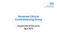 Somerset Clinical Commissioning Group PowerPoint PPT Presentation