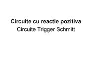 Circuite cu reactie pozitiva