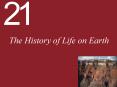 The History of Life on Earth PowerPoint PPT Presentation