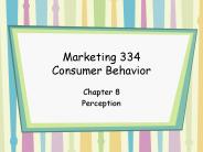 Marketing 334 Consumer Behavior