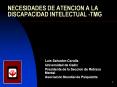 NECESIDADES DE ATENCION A LA DISCAPACIDAD INTELECTUAL -TMG PowerPoint PPT Presentation