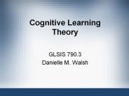 Cognitive Learning Theory