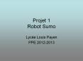 Projet 1 Robot Sumo PowerPoint PPT Presentation
