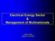 Electrical Energy Sector