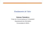 Fundamentos de V