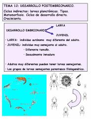 Diapositiva 1