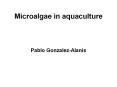 Microalgae in aquaculture PowerPoint PPT Presentation