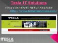 Tesla IT Solutions offers" Demo Website at No Cost"