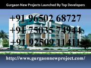 New Launch In Gurgaon