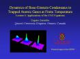 Dynamics of Bose-Einstein Condensates in Trapped Atomic Gases at Finite Temperature PowerPoint PPT Presentation