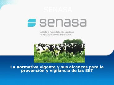 SENASA