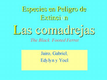 Especies en Peligro de Extinci