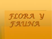 FLORA Y   FAUNA