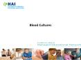 Blood Cultures PowerPoint PPT Presentation