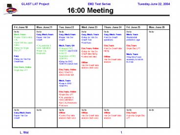 16:00 Meeting